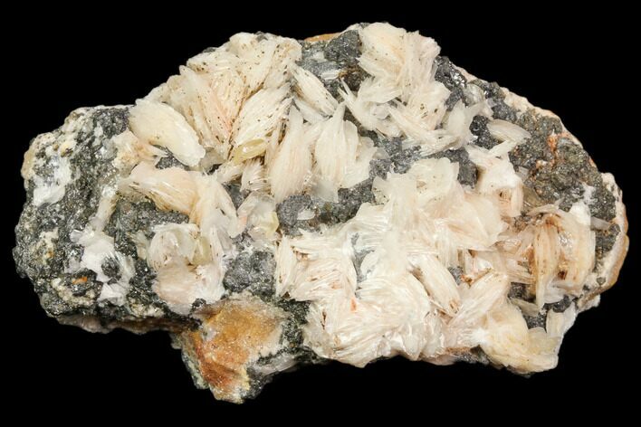 Cerussite Crystals with Bladed Barite on Galena - Morocco #82344